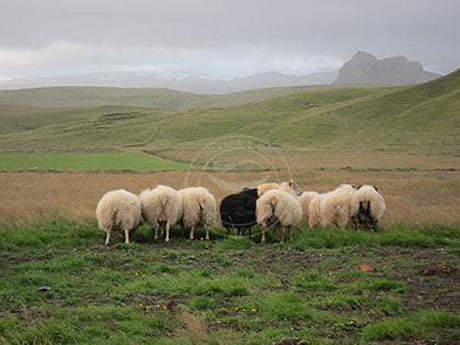 Iceland:Move Over Stonehenge