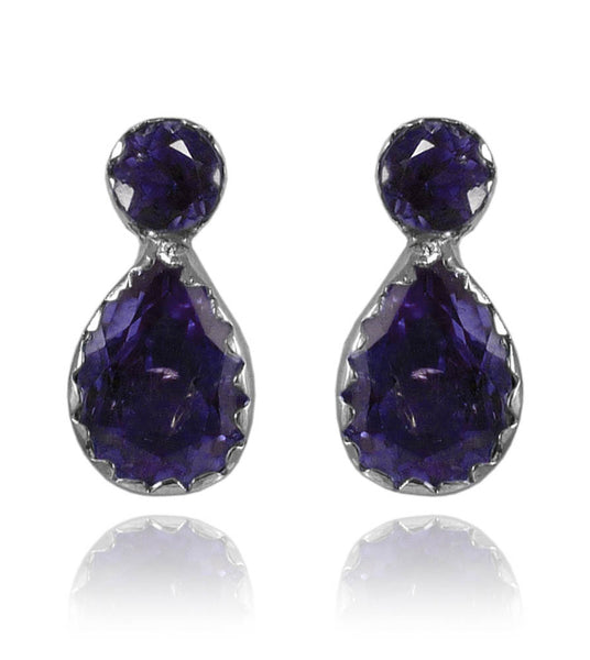 Two Stone Leaf Studs Iolite